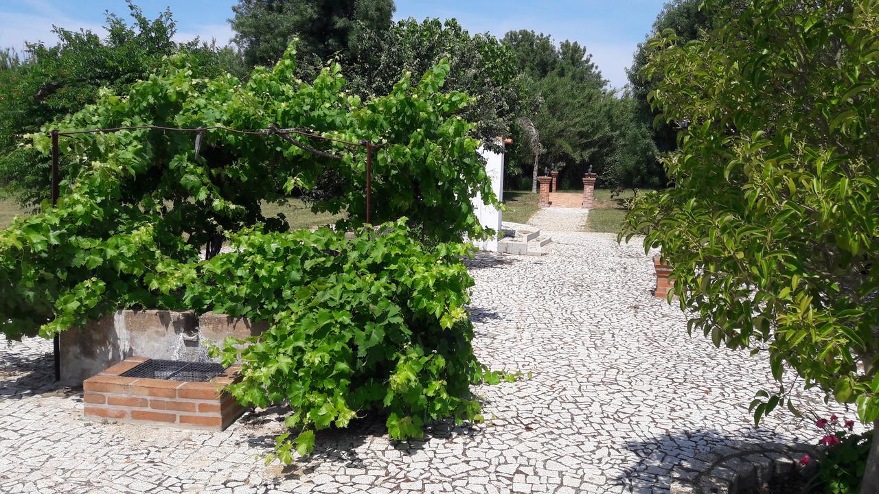 Quinta Da Abrunheira Apartment Vimieiro  ภายนอก รูปภาพ